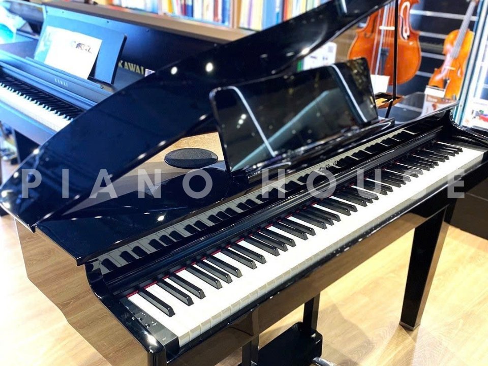 ROLAND GP-6 PE (Used) - Ảnh thực tế 3